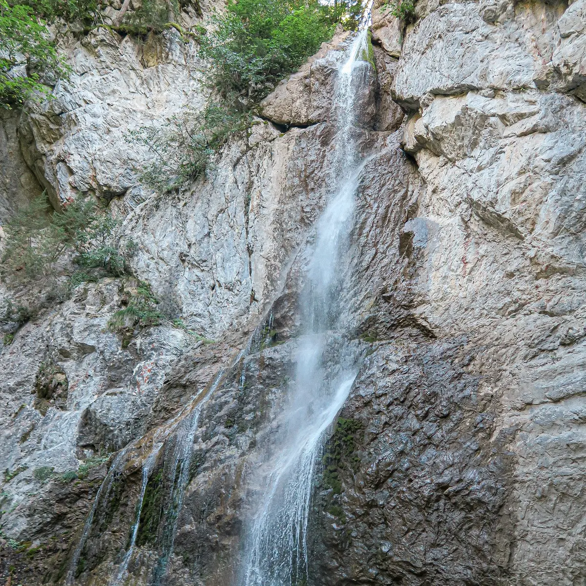 La cascade Sur Bayard - La Chapelle d'Abondance