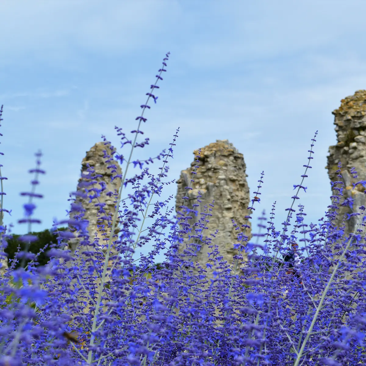 Abbaye des Châteliers