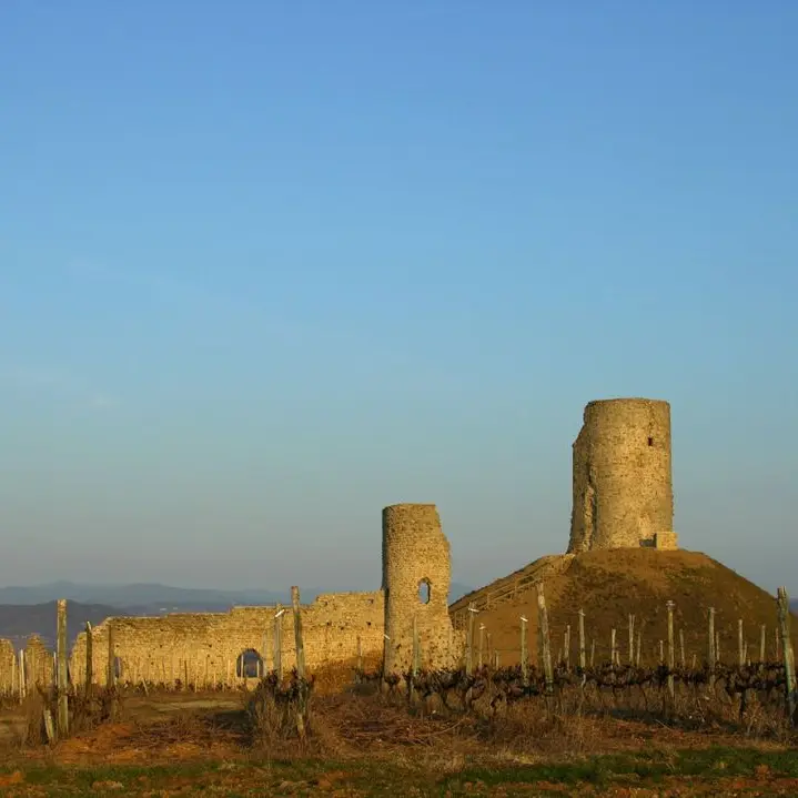 Les hauts de Mercurol