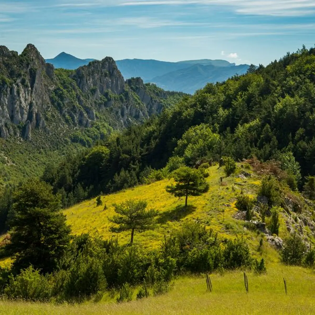 Point de vue verdoyant du Serrois