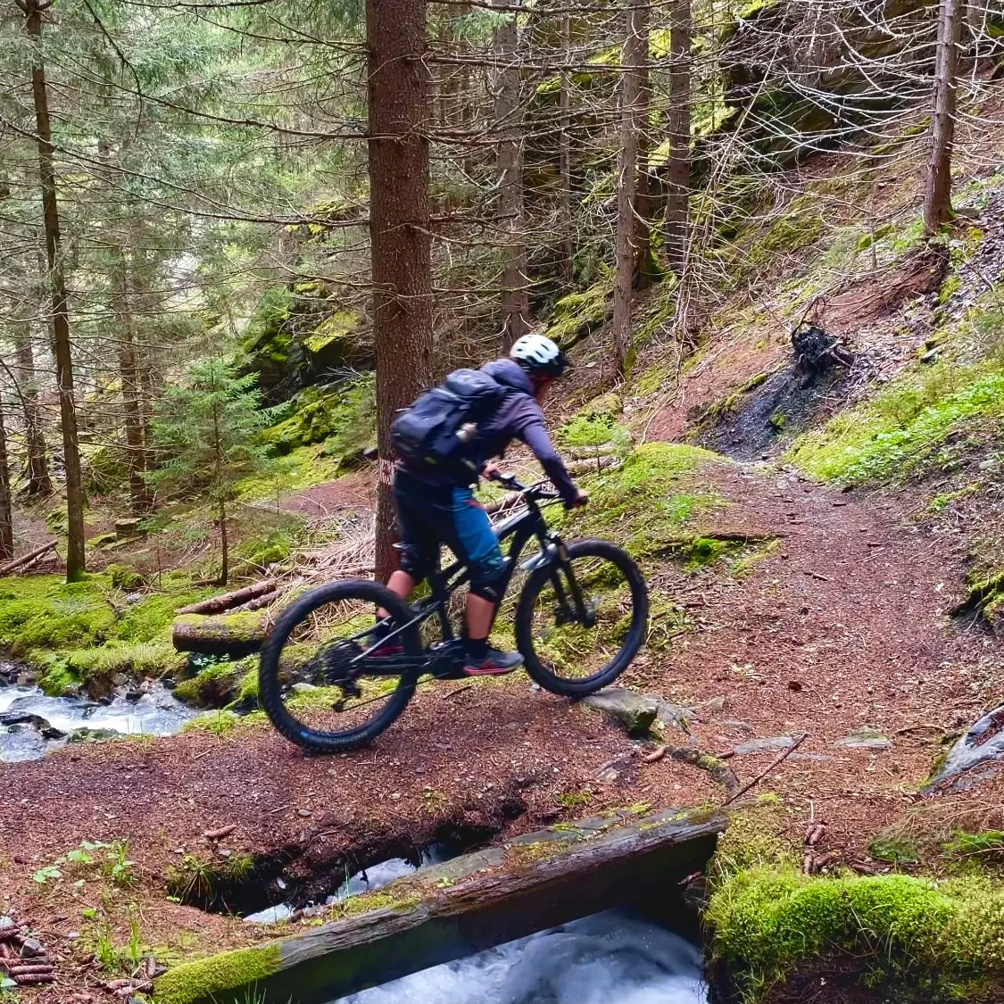 Sortie Bike park été dans la fôret - école VTT & VTTAE