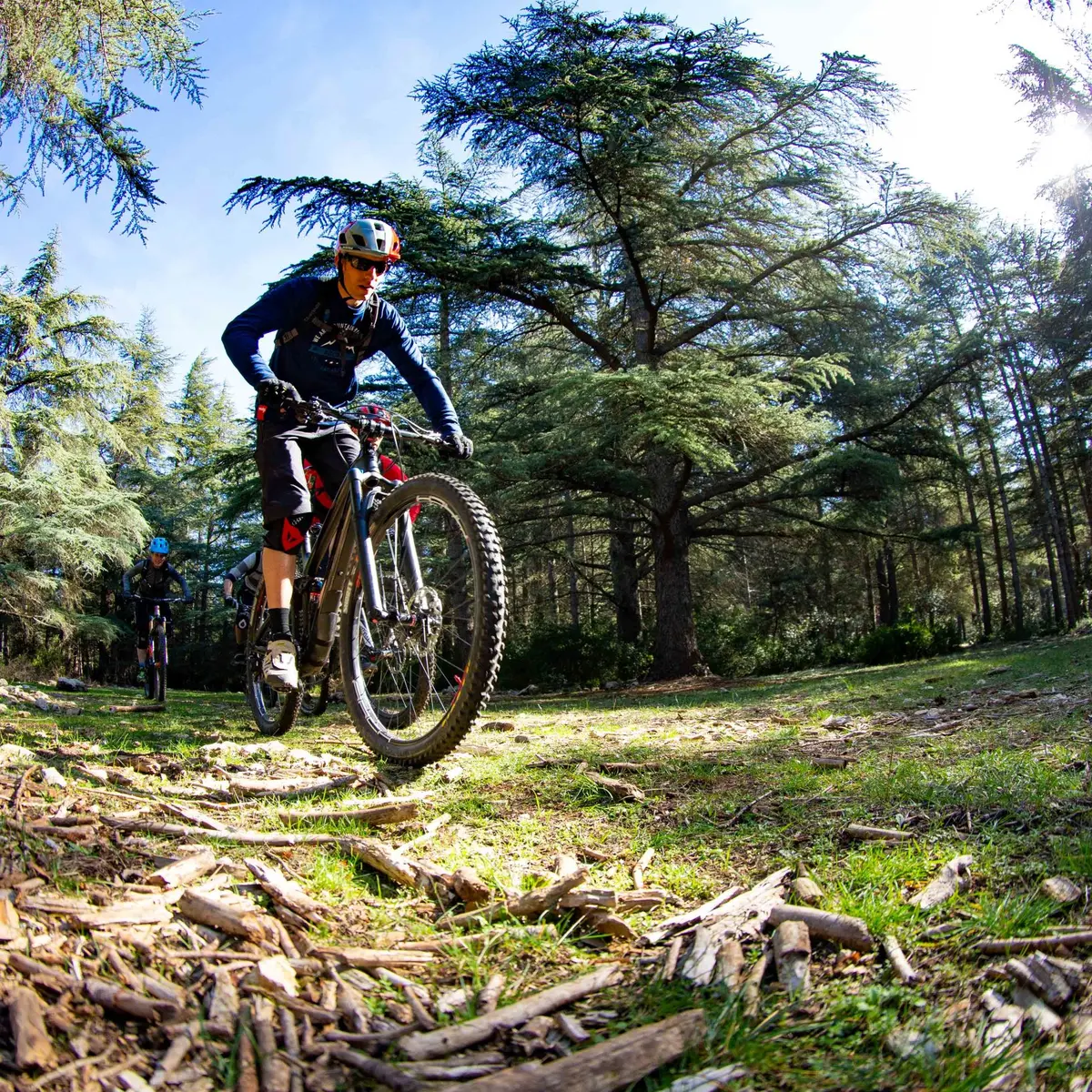 Forêt des Cèdres - ebike