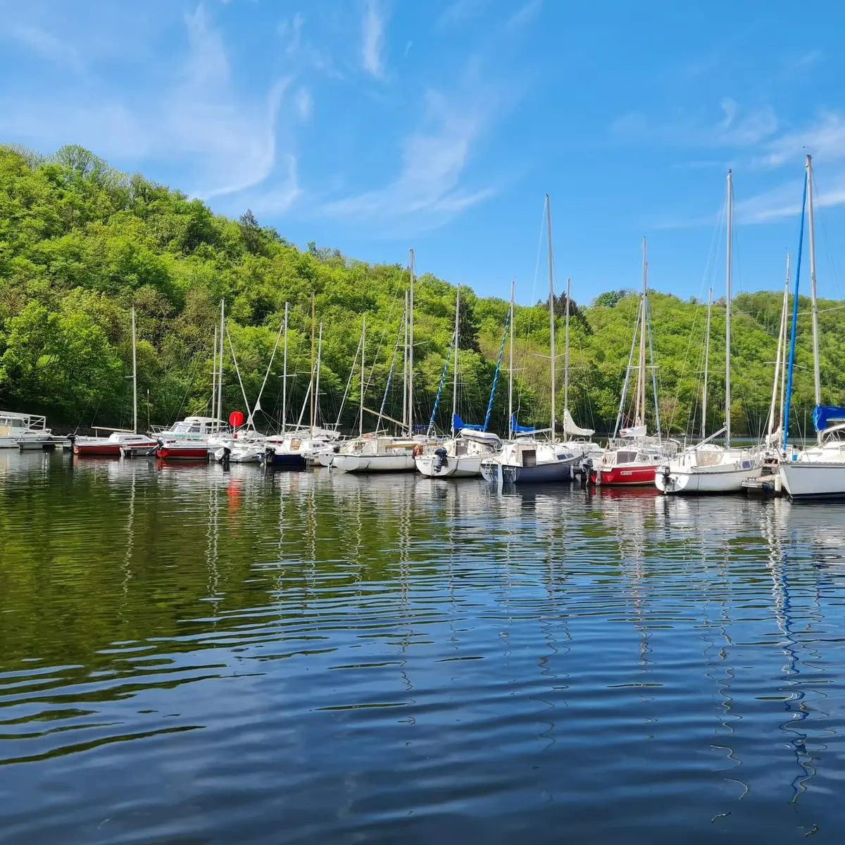 Port de Bully dans la Loire