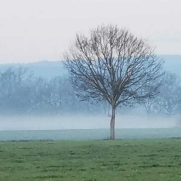 Vue de Noailly