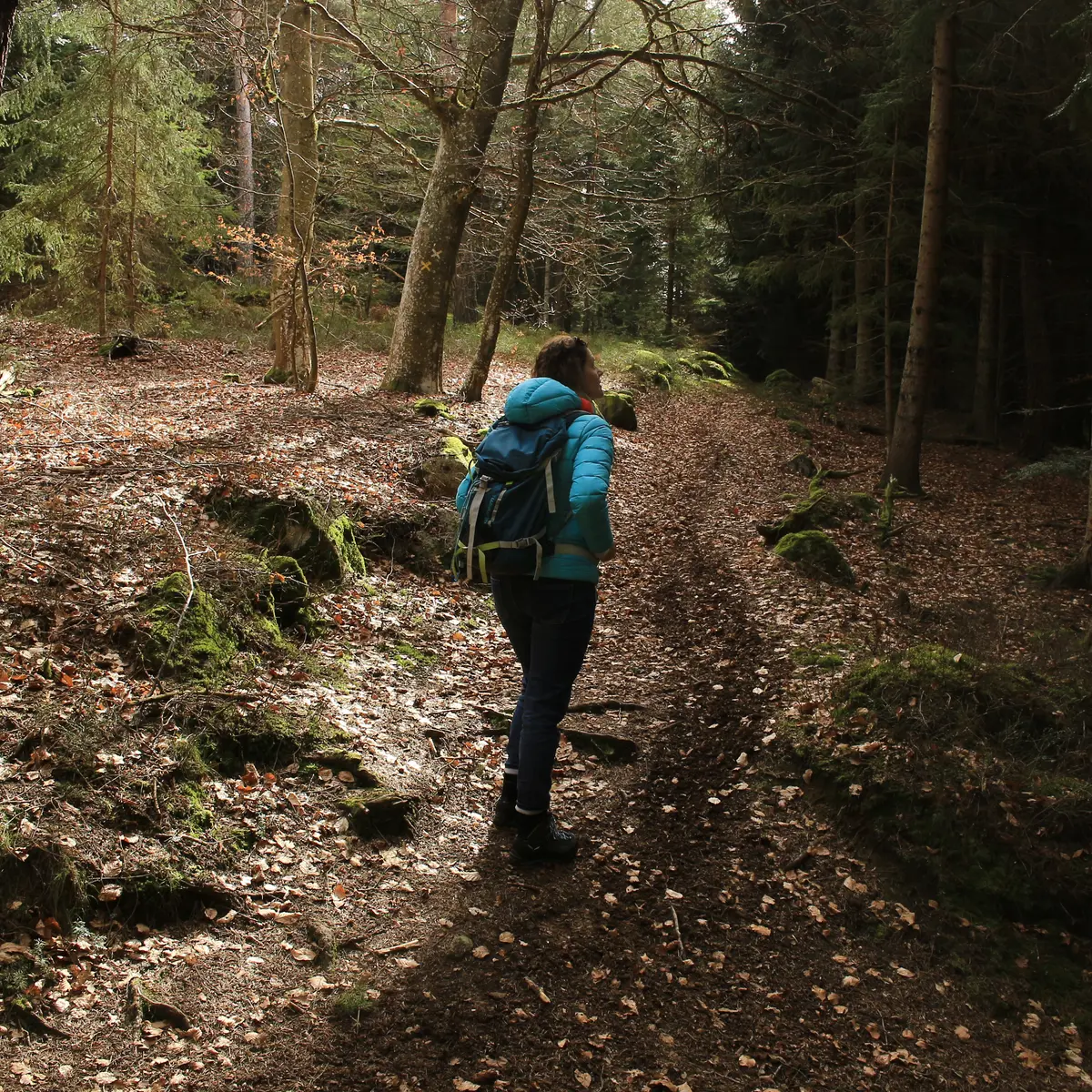 St-Hilaire-Cusson-la Valmitte