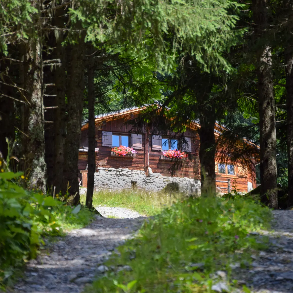 Chalets d'Armancette aux contamines montjoie