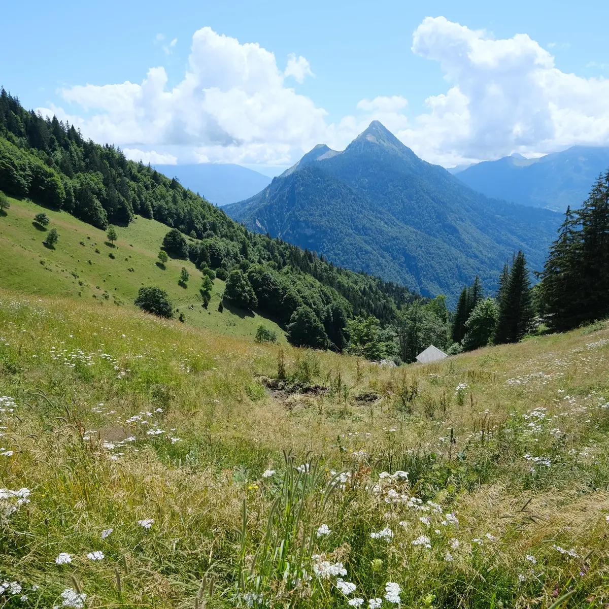 Paysages Tour de la Tulle - photo sous licence Creative Commons CC BY 2.0 https://creativecommons.org/licenses/by/2.0/