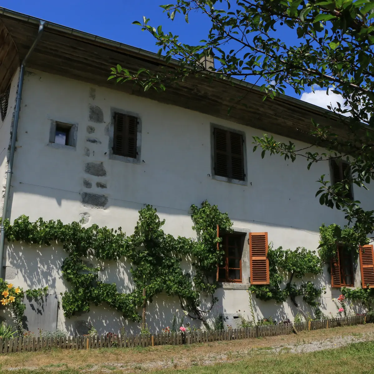 Extérieur