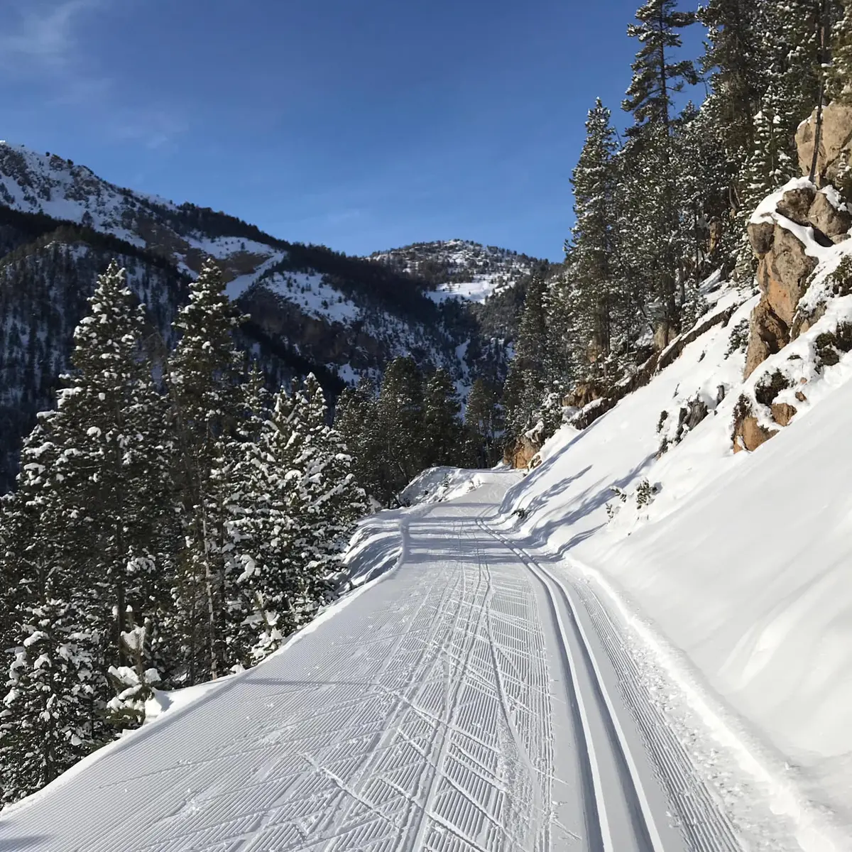 Bandeau Valentin Fournier - Moniteur ski de fond
