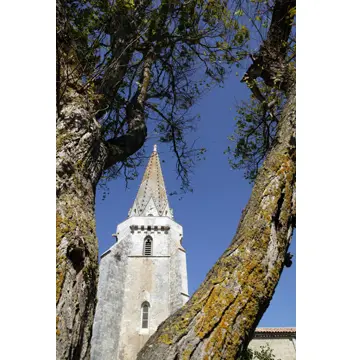 Clocher de Sainte-Marie