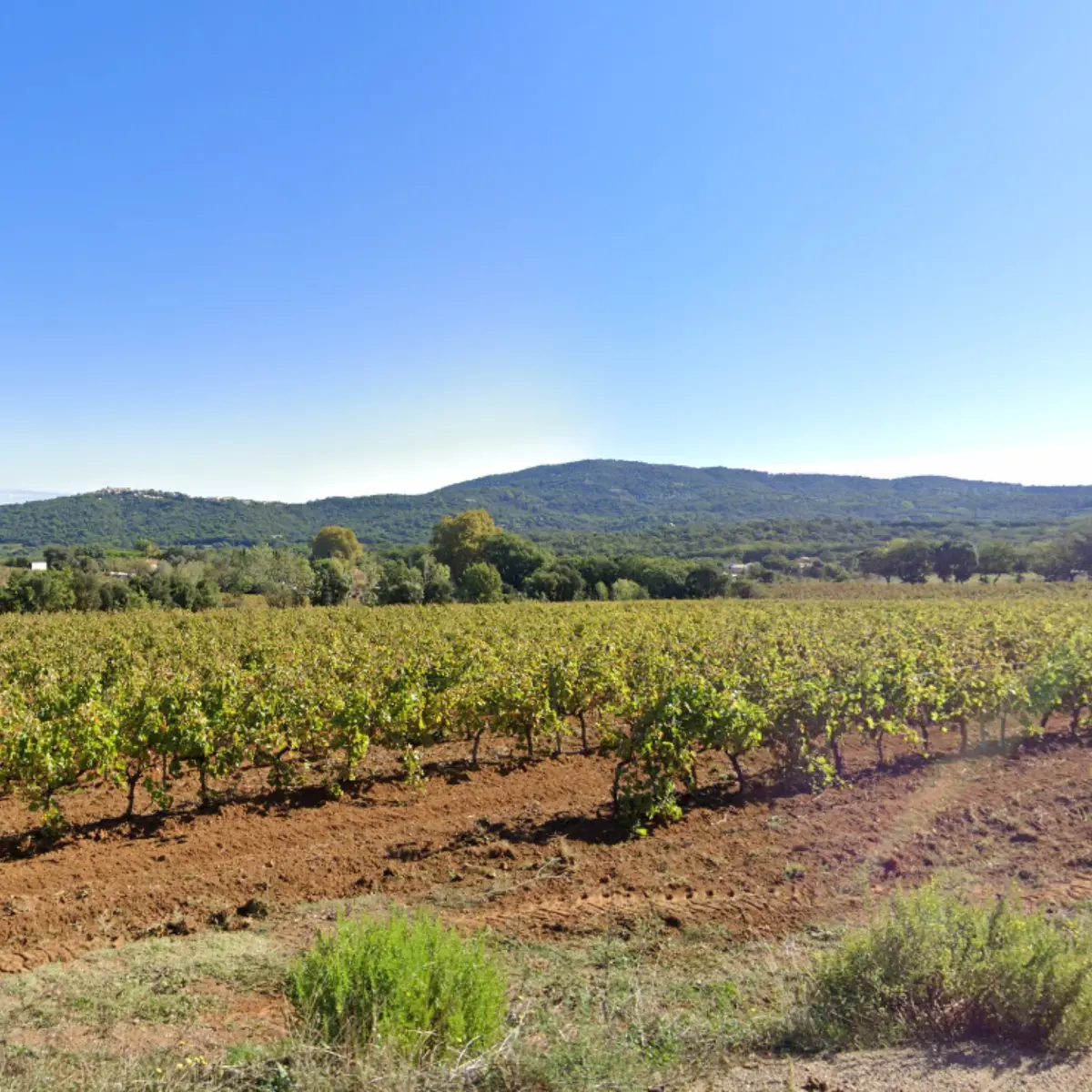 Point de vue