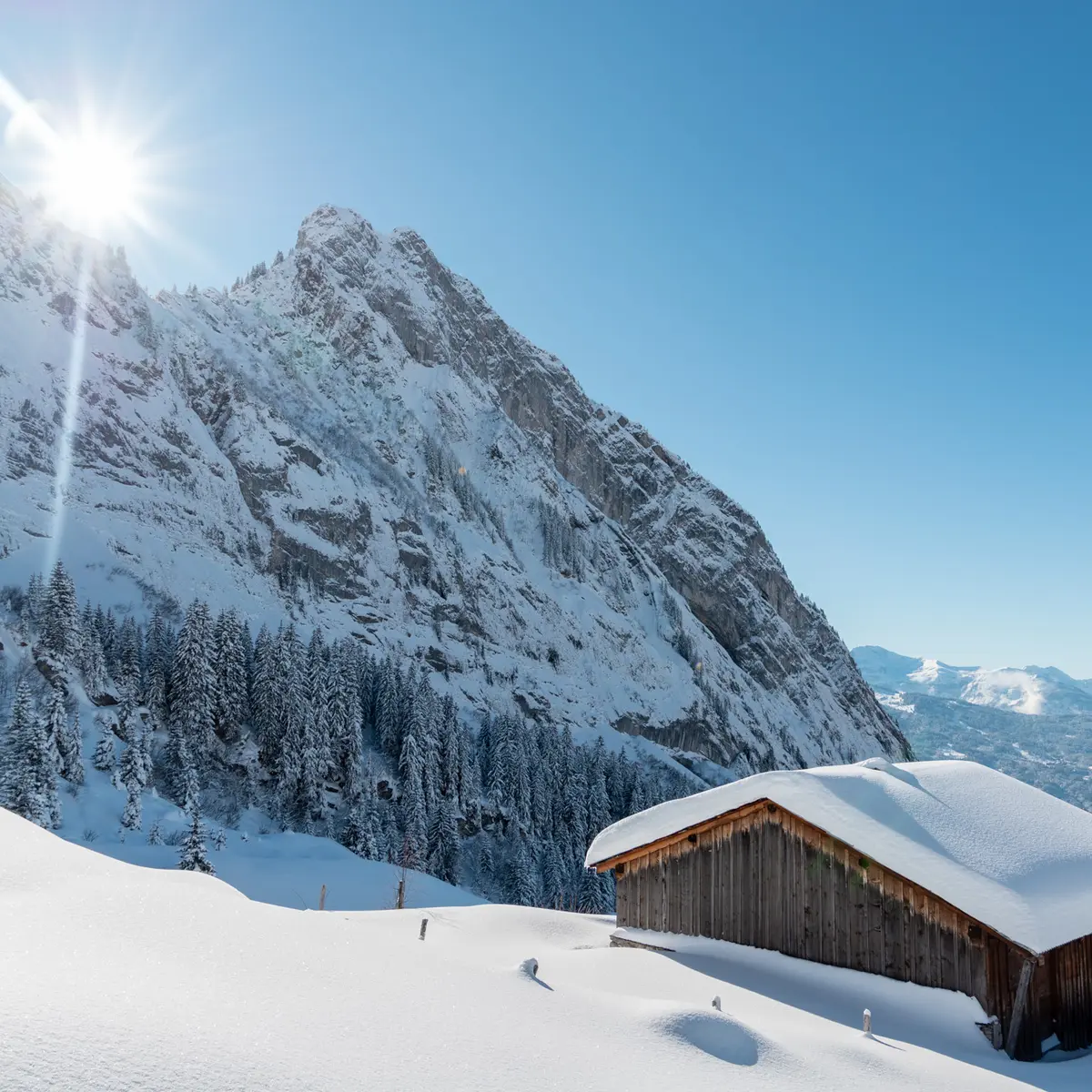 DENTS CHALET BOSTAN SOLEIL NEIGE
