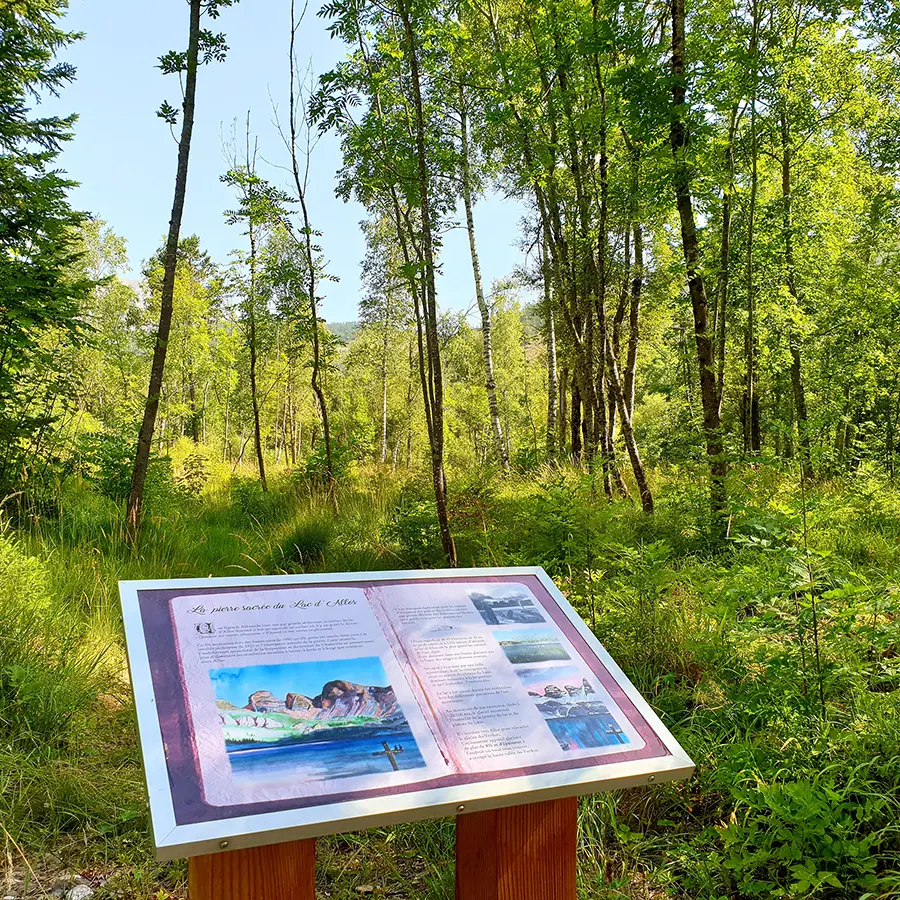 Un des panneaux du parcours de randonnée, inscription La Pierre Sacrée du Lac d'Allos, illustrations et descriptifs. Cadre forestier