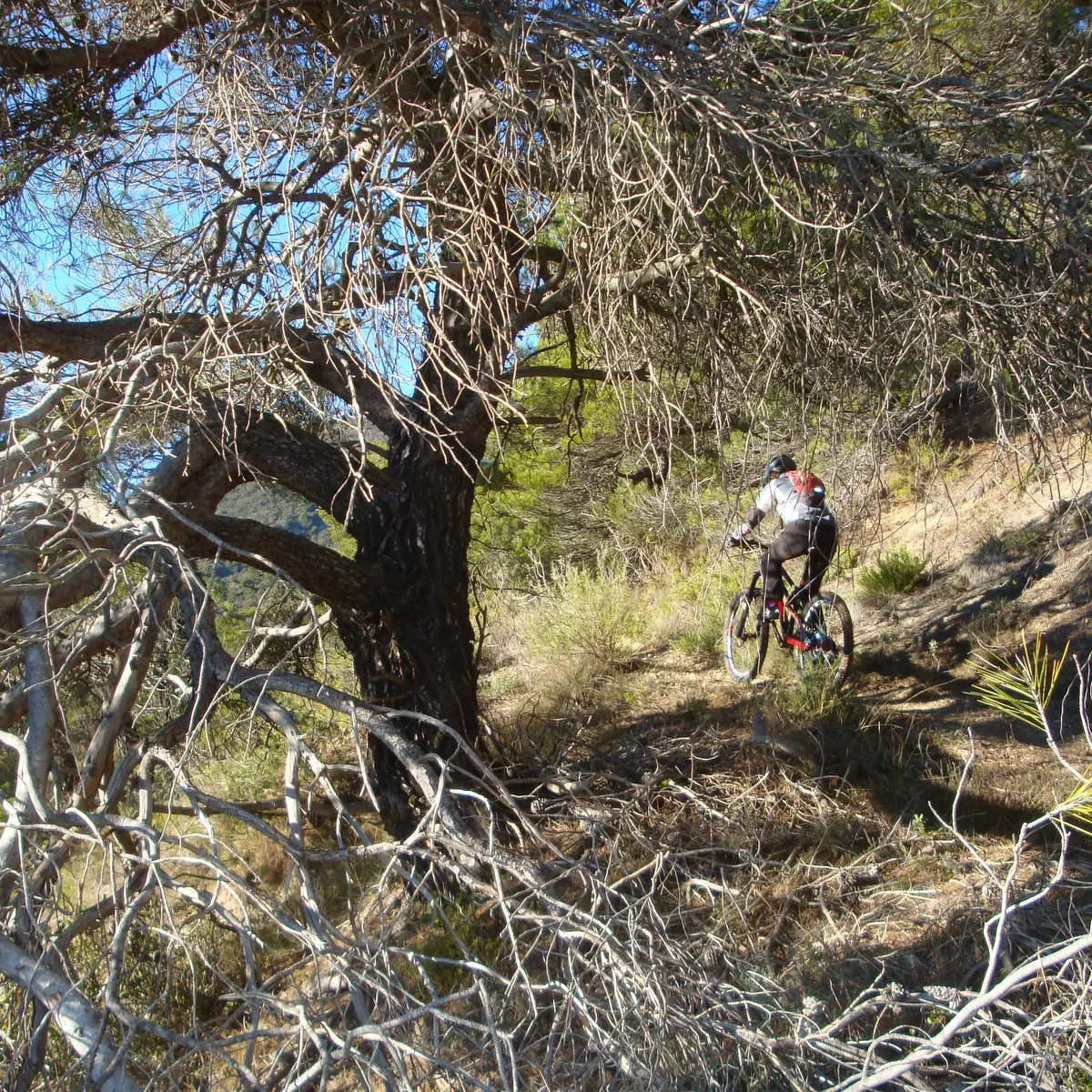 Parcours VTT La Motte d'Aigues