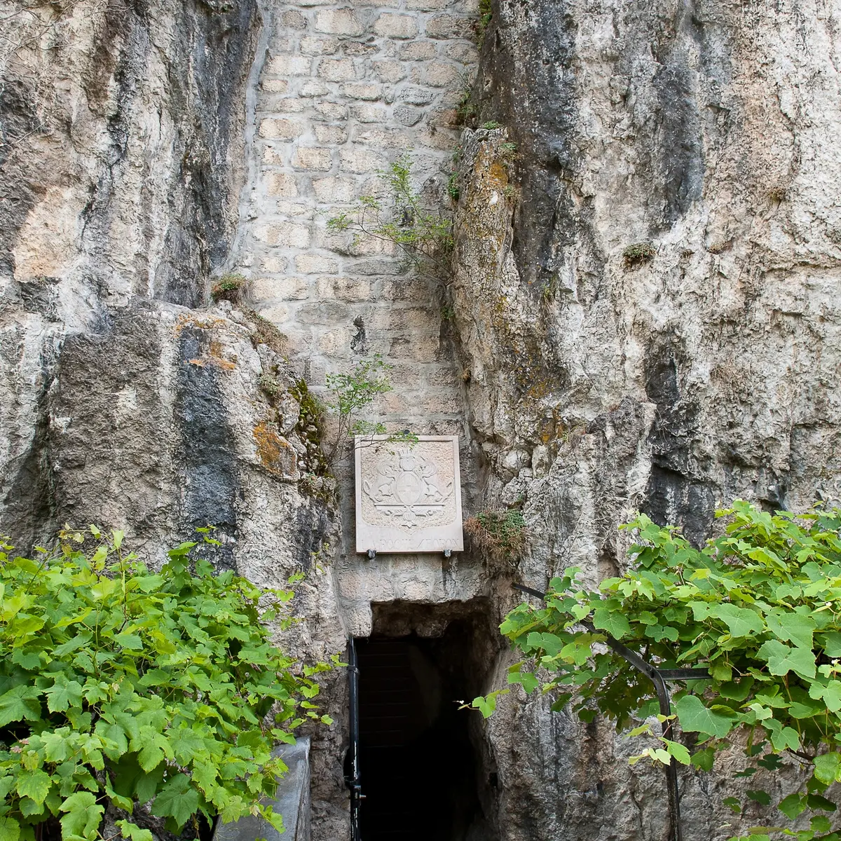 Entrée Tour des comtes de Genève