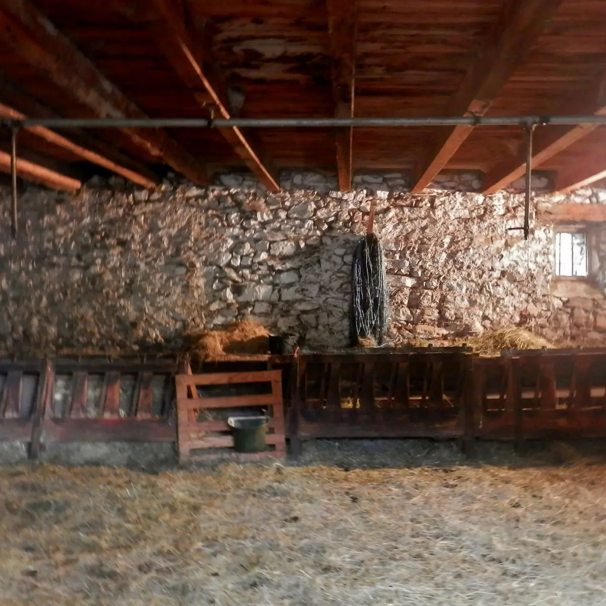 Ferme Etoile du berger