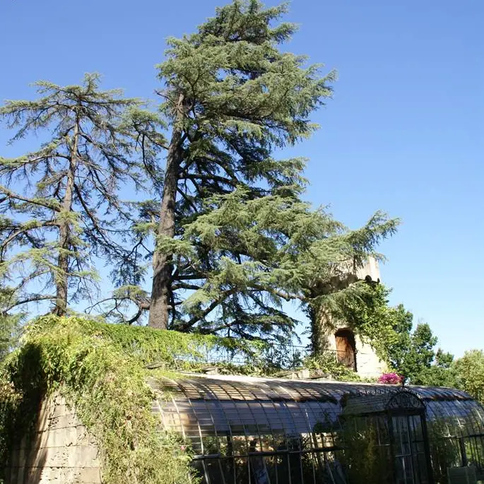 Parc de la Tour Vieille