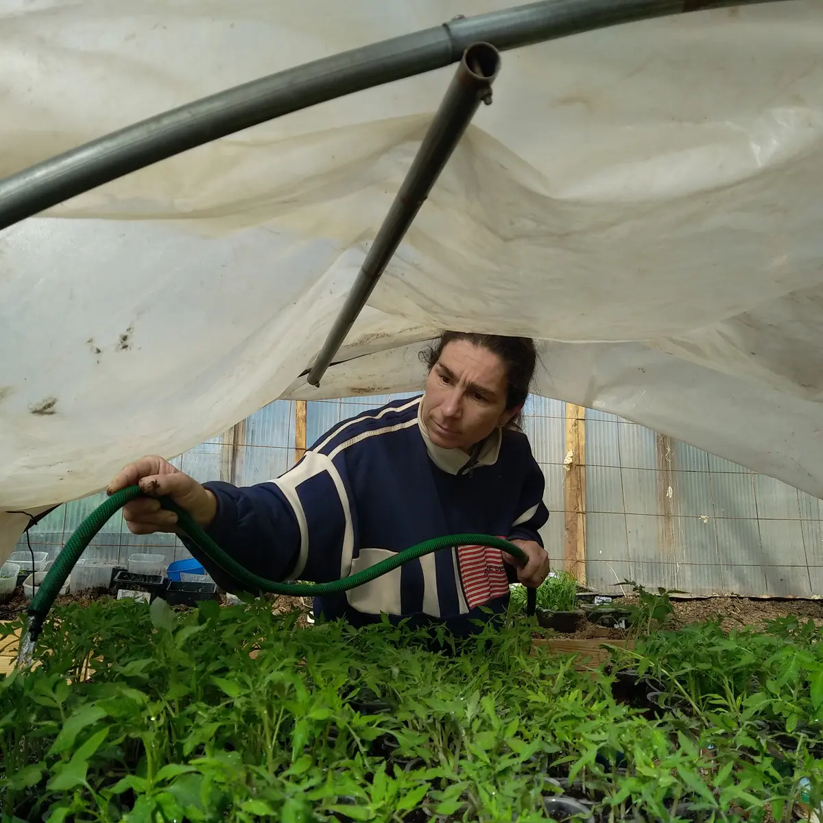 La ferme des Soldanelles