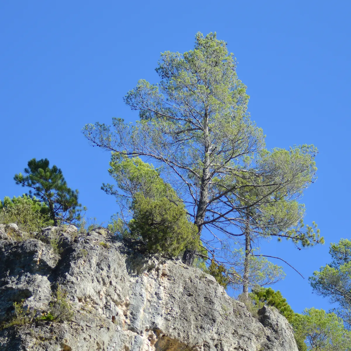 Site de Saint-Barthélémy