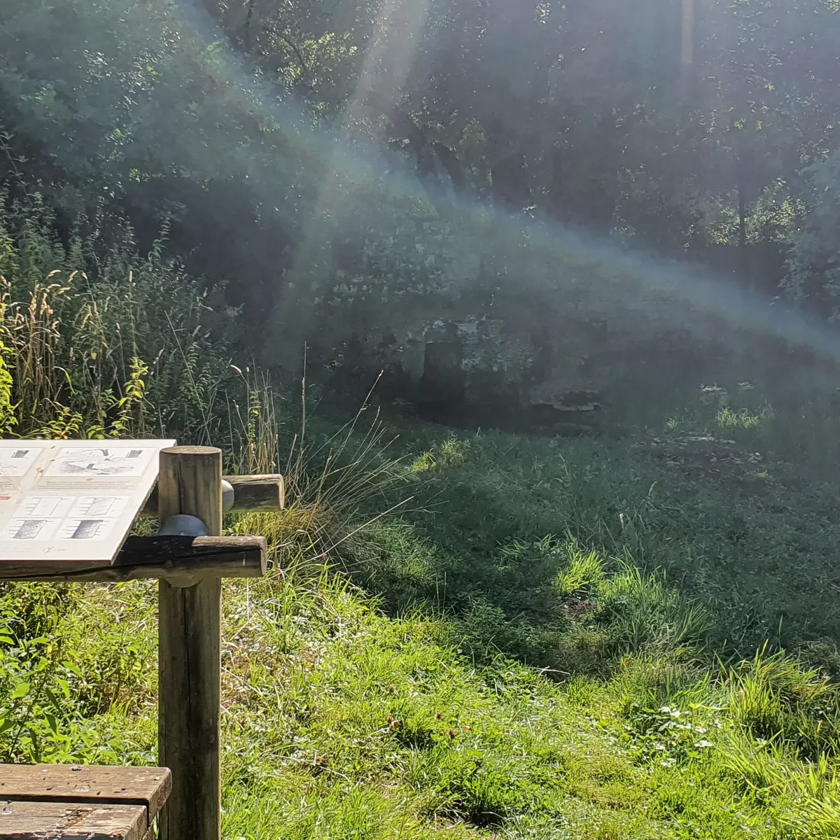 Lavoir et source du Jugnon - Jasseron