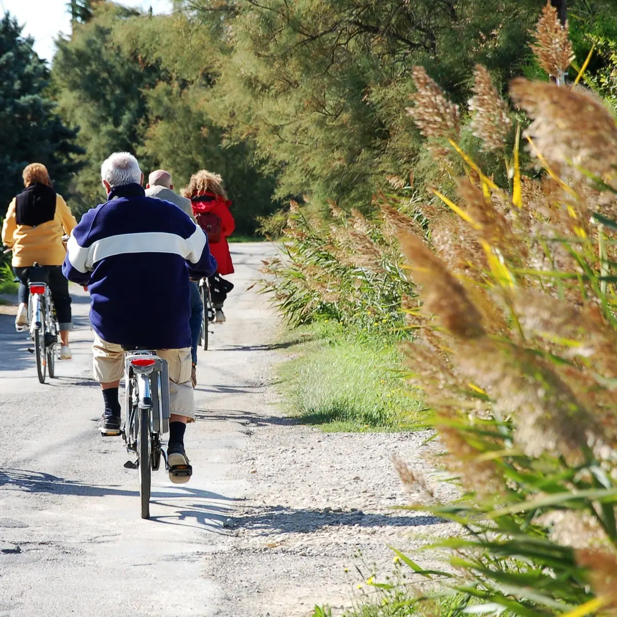 Cyclistes sur le chemin de Palun Longue