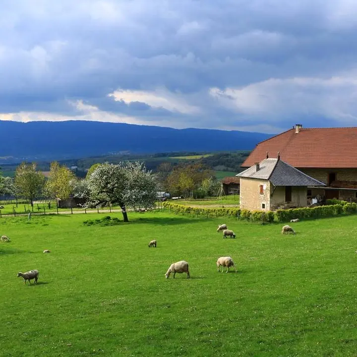 Patrimoine du village de Lochieu