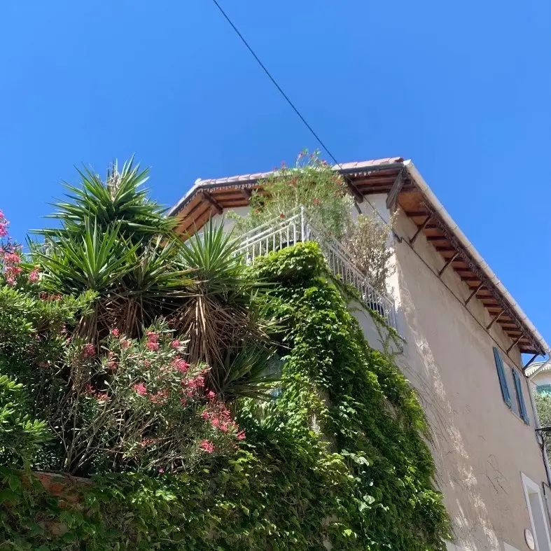 maison de l'exterieur avec verdure