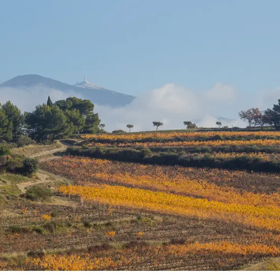 gravel 38 Flassan Ventoux