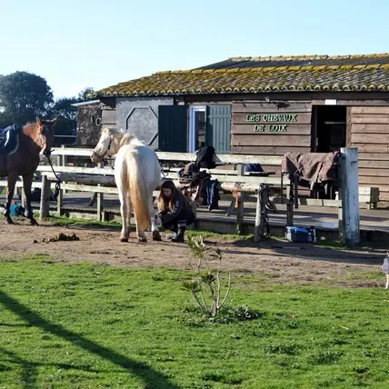 Cours d'équitation