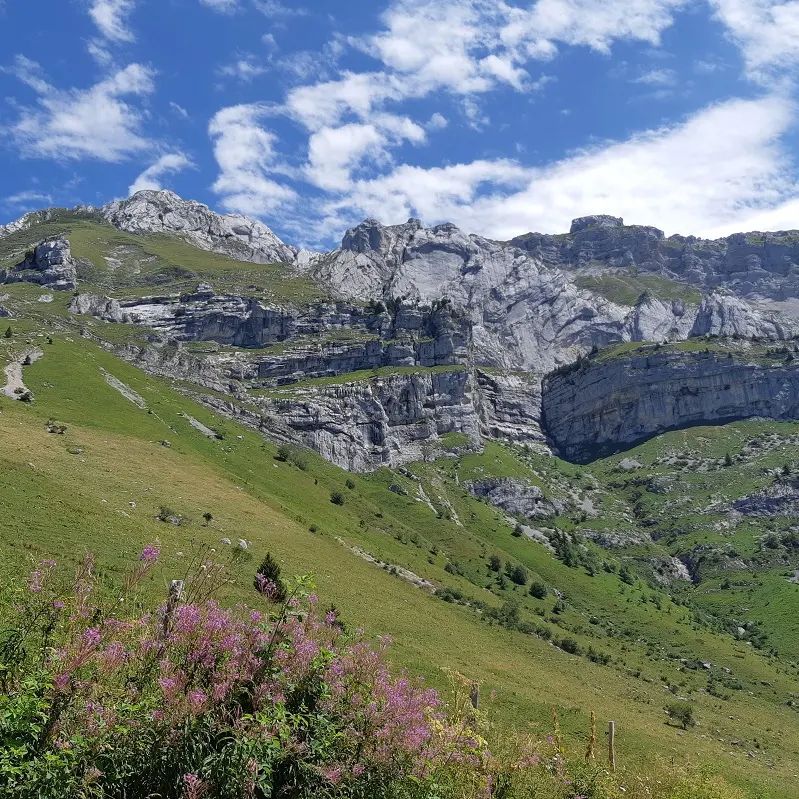 Paysage