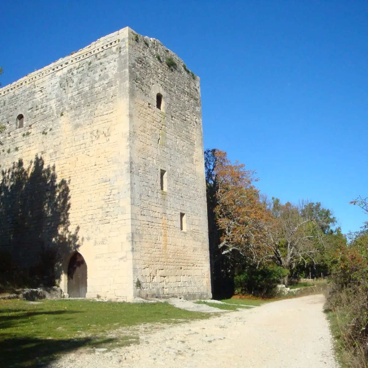 Tour médiévale de Porchères