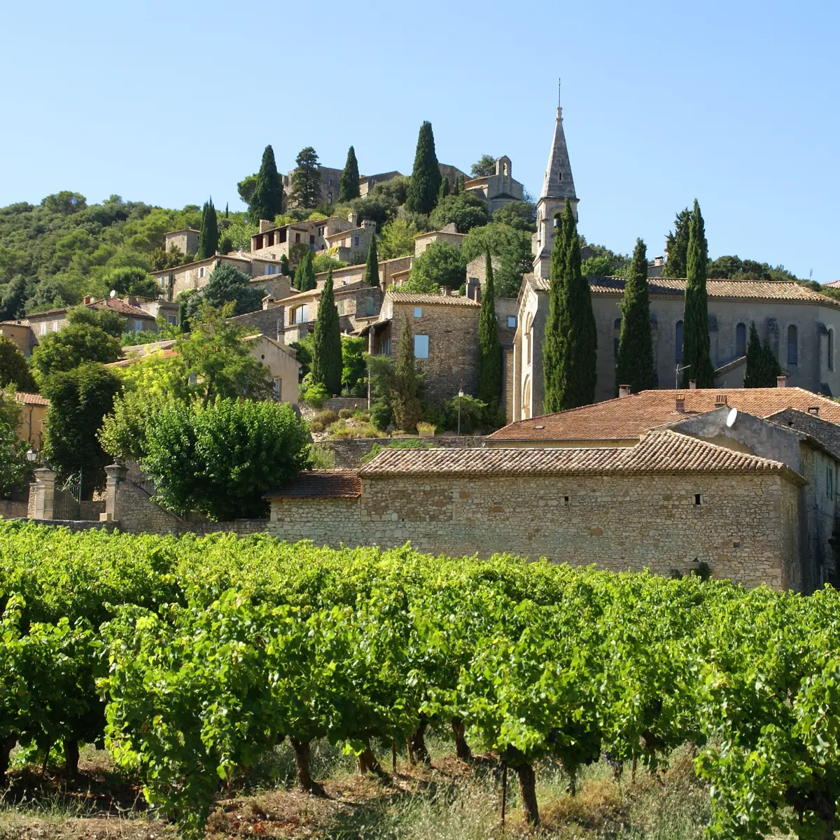 Vue d'ensemble de la Roque sur Cèze
