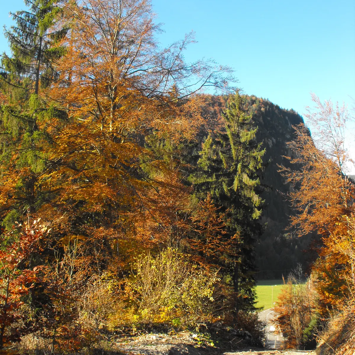 Abondance en automne