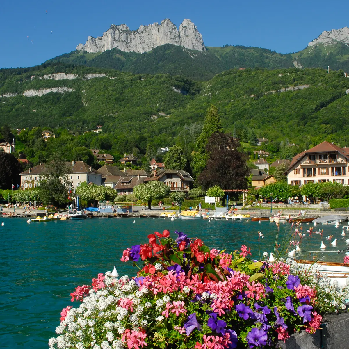 Vue de Talloires depuis l'embarcadère
