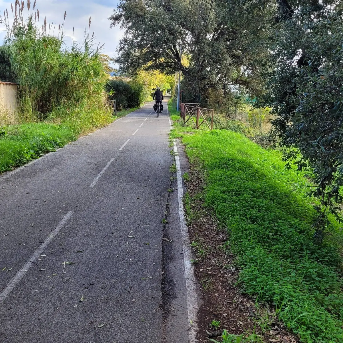 Cycliste de dos roulant sur la piste cyclable entourée de végétation