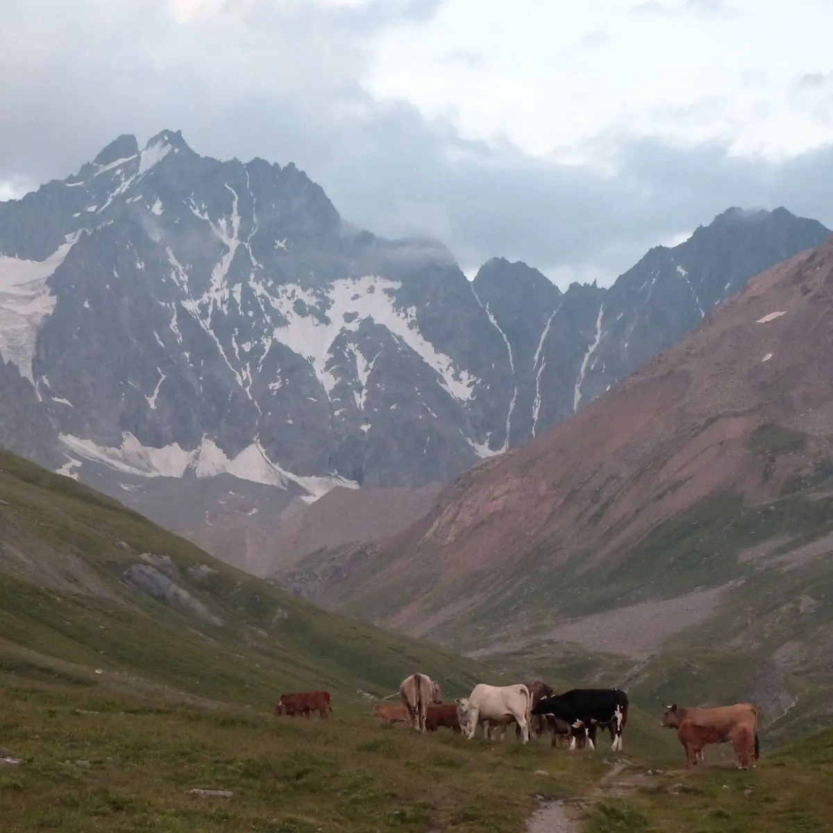 Vue sur les glaciers et les sommets des Ecrins