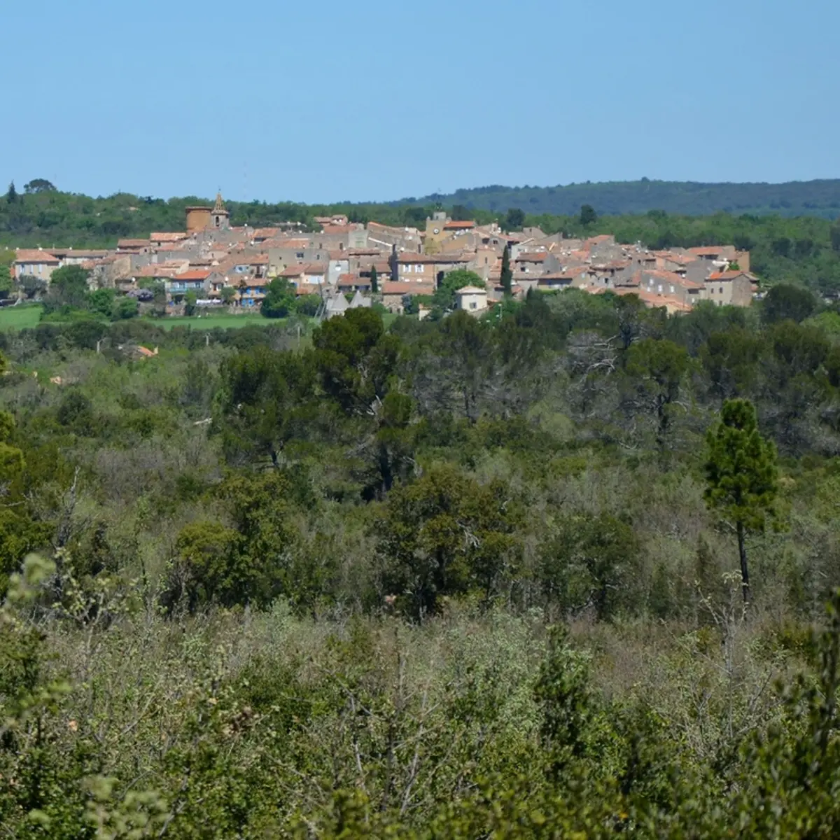 Regusse vue depuis le Pelenc