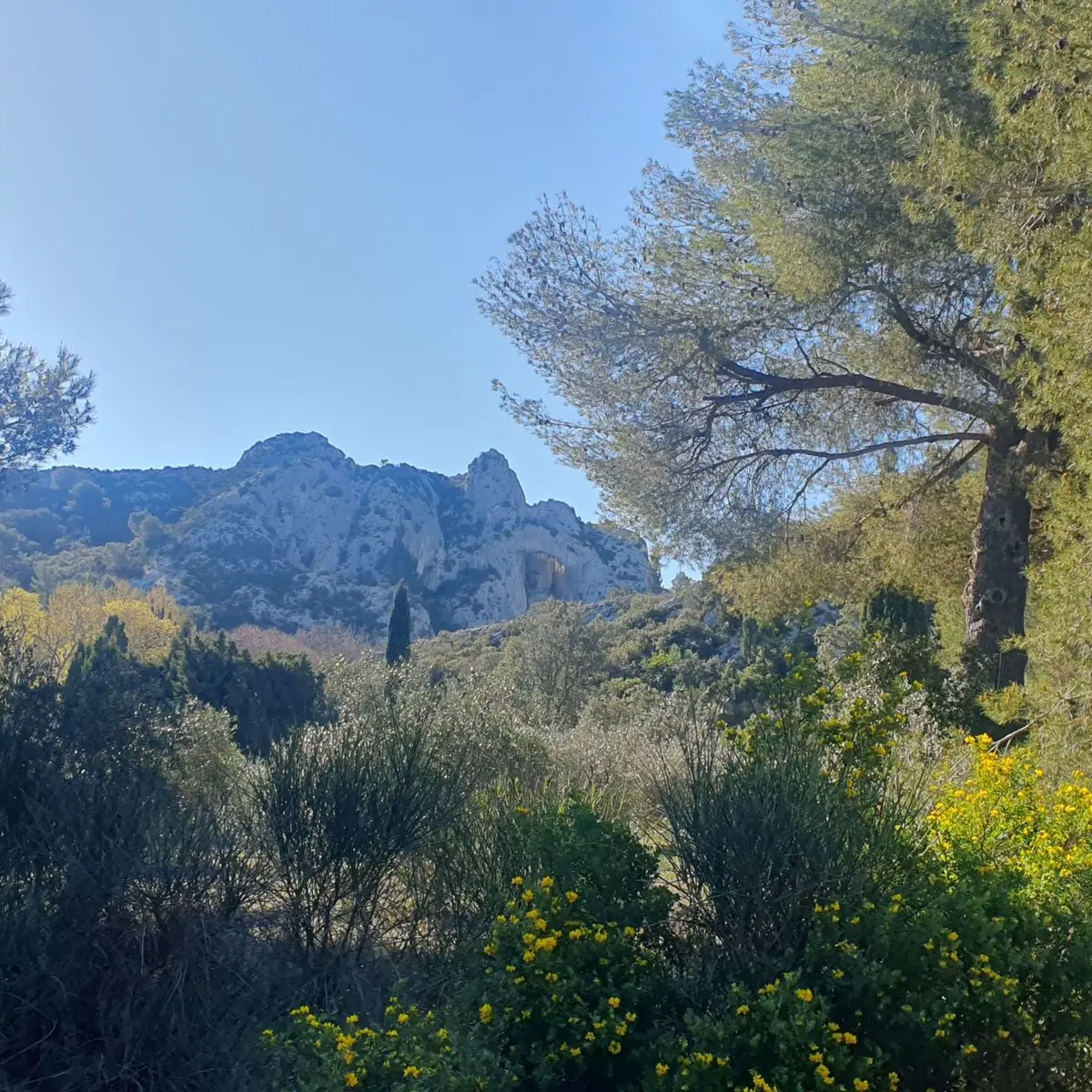 Ouverture sur le paysage