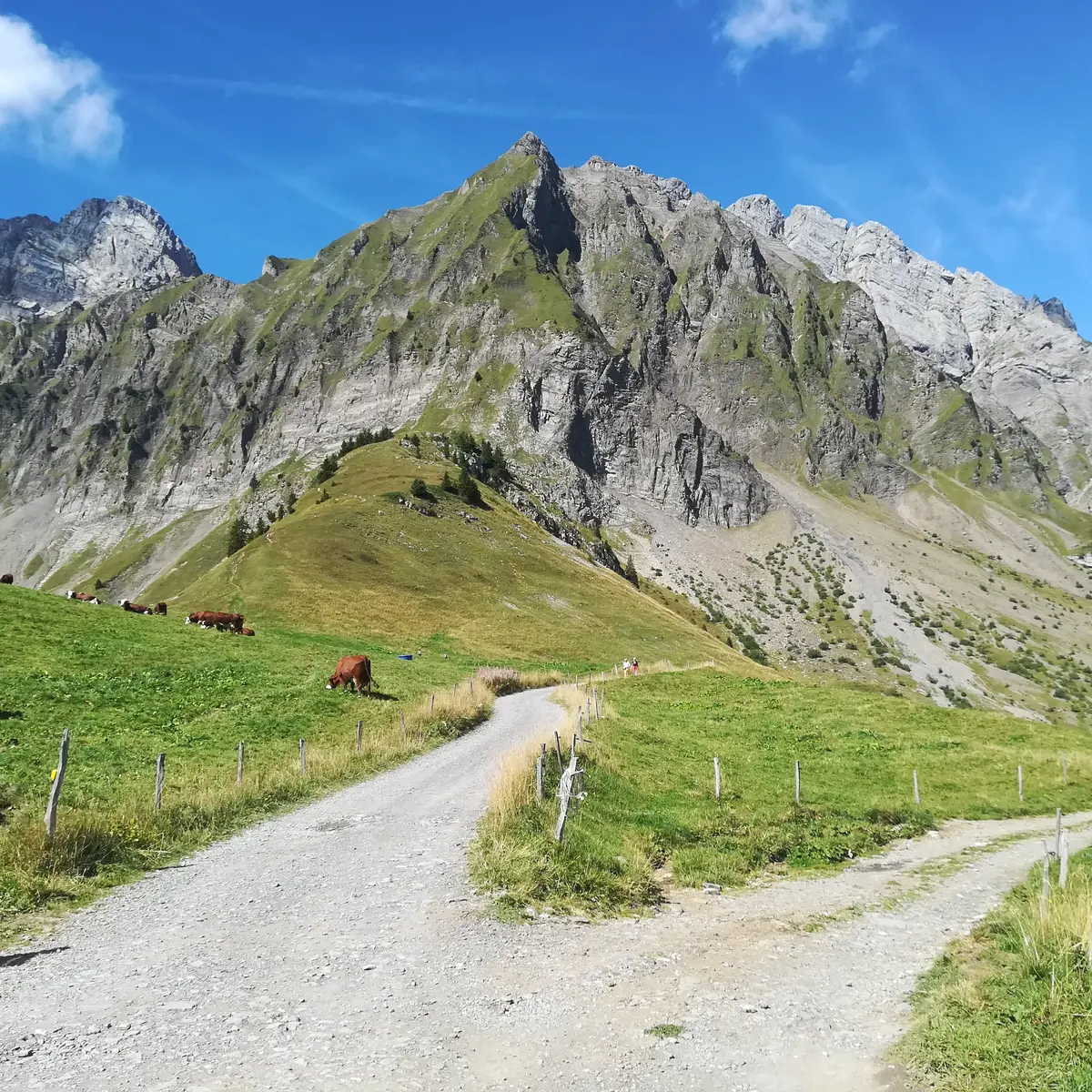 Col des Aravis