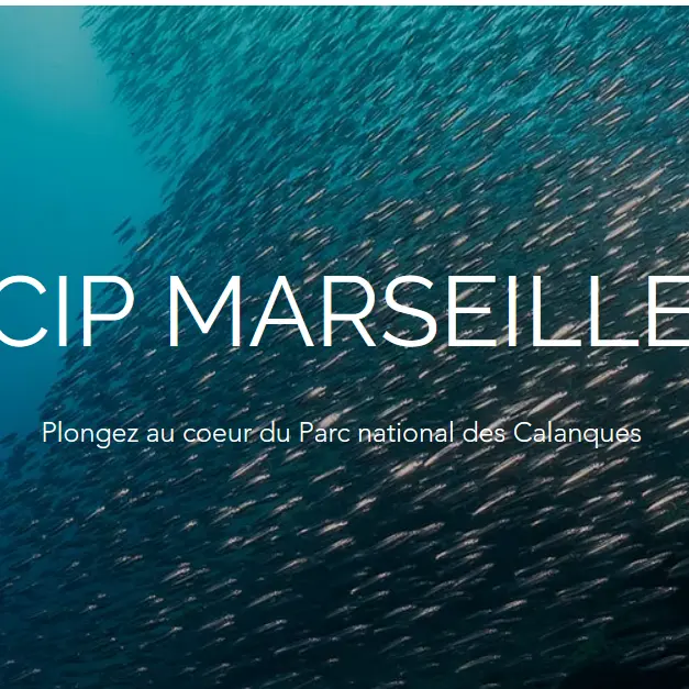 CIP Marseille