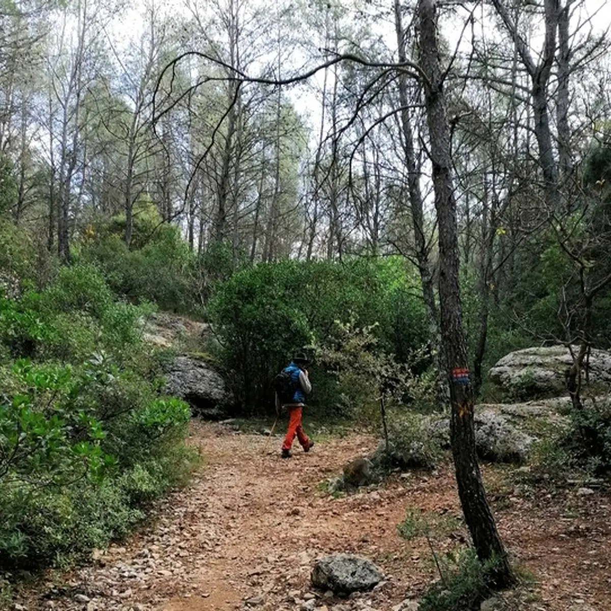 L'ambiance dans le vallon de l'Oure