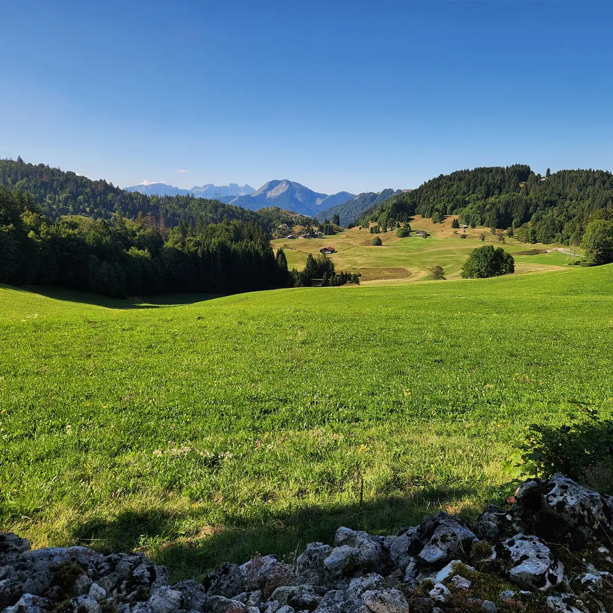 alpage de plaine joux