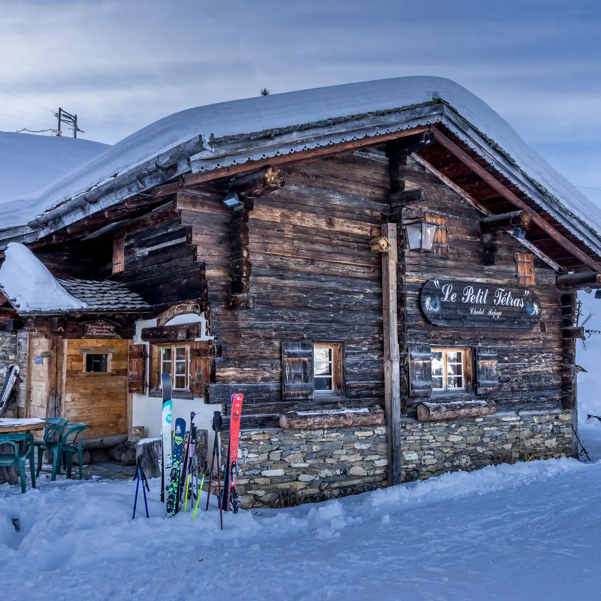 le petit tétras en hiver