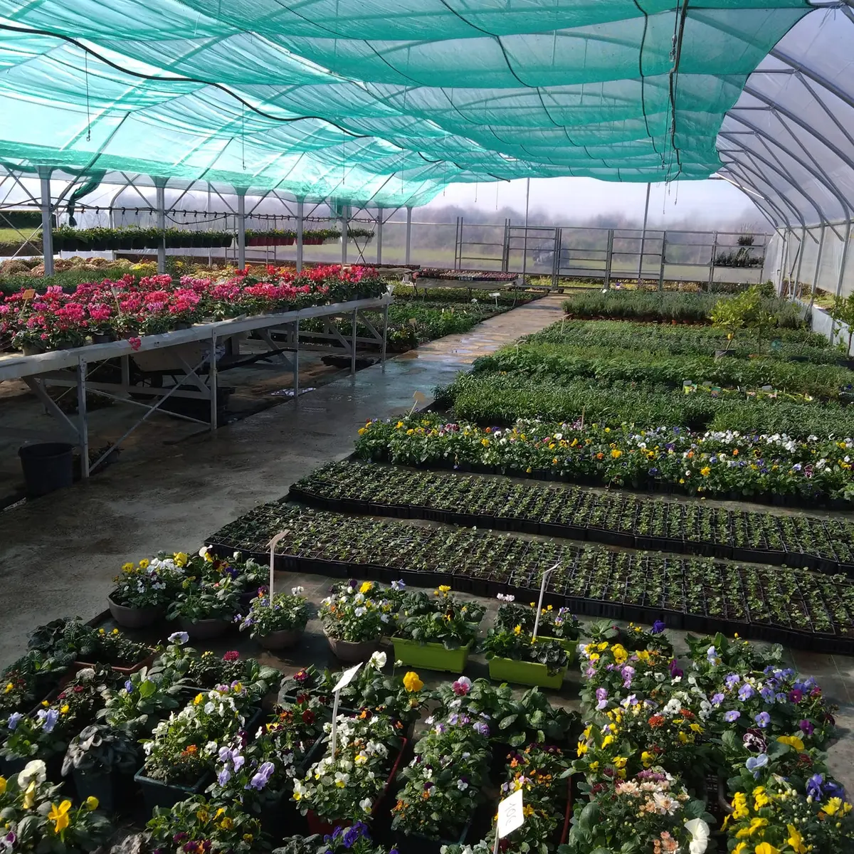 Potager de la Musiquette