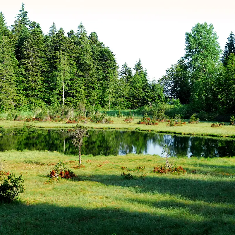 Réserve Naturelle Nationale du Luitel