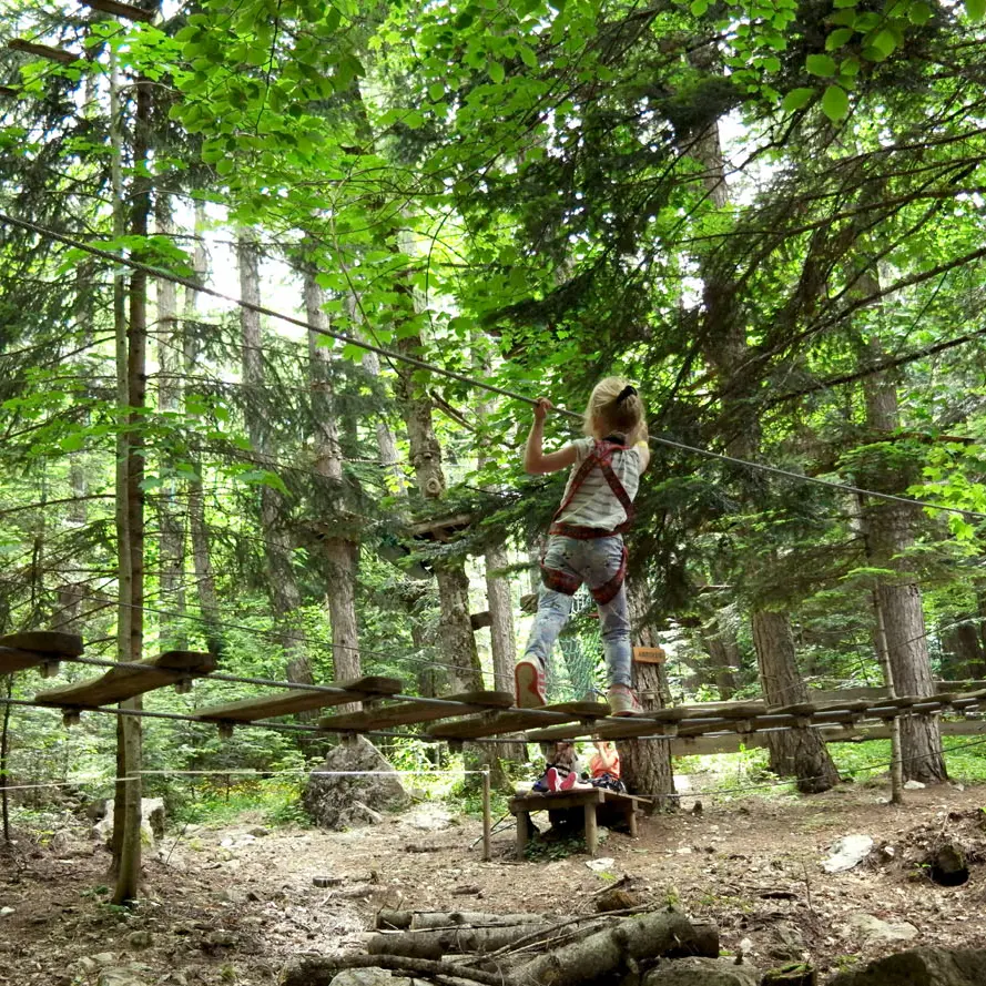 Jungle Laye, une aventure acrobatique en forêt à Laye, vallée du Champsaur