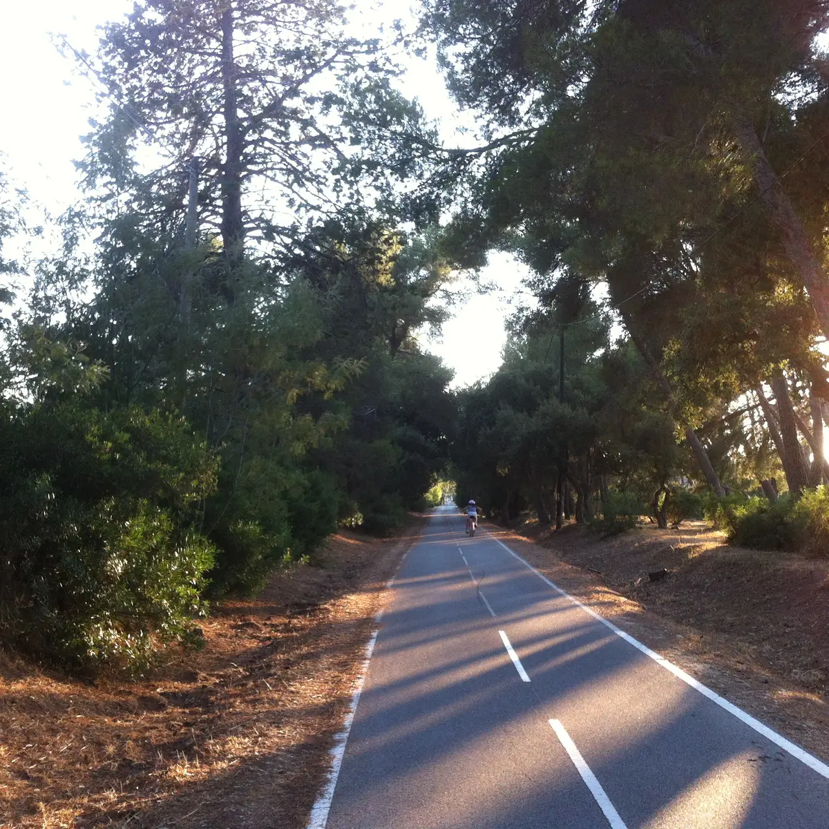 Parcours cyclable du littoral V65