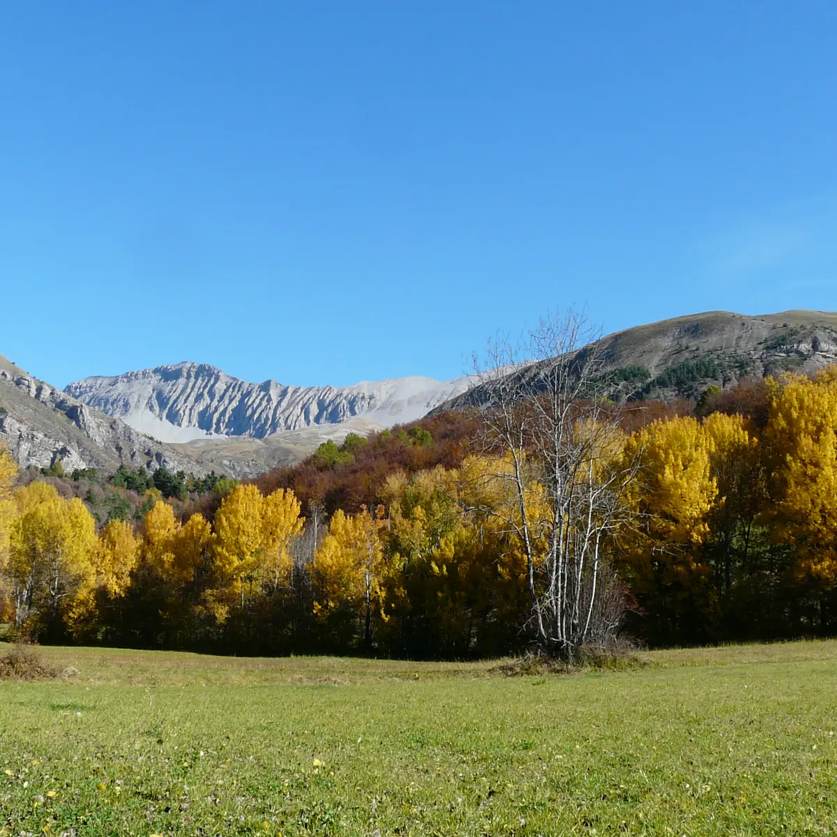 VTT n°13 - Les quatre cols