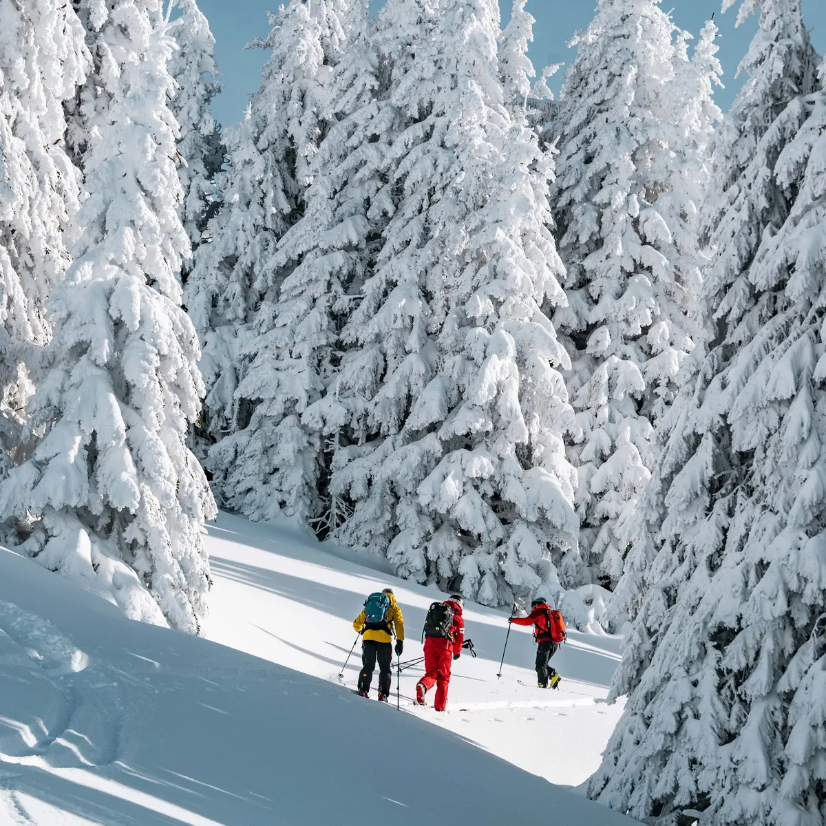 Itinéraire de ski rando Le Morclan