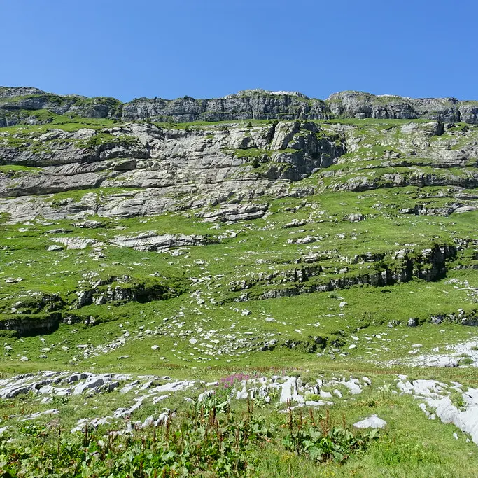 Photo Randonnée vers Refuge de Sales sous licence Creative Commons https://creativecommons.org/licenses/by-sa/2.0/